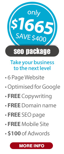 professional website package